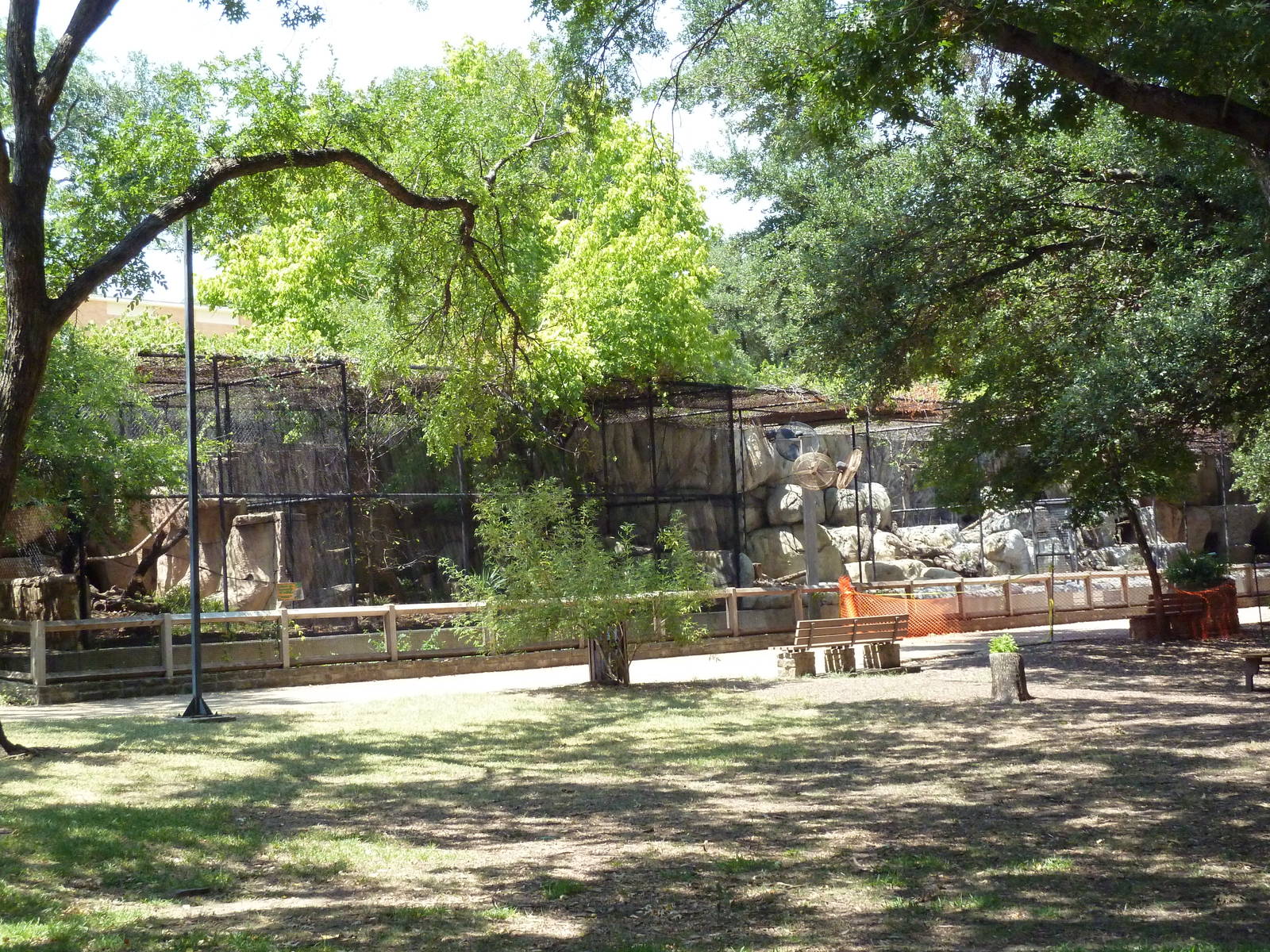 Cat Row - Feline Exhibits