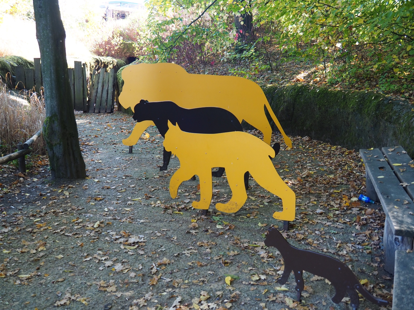 Cat size comparison models (Oct 13th, 2018)