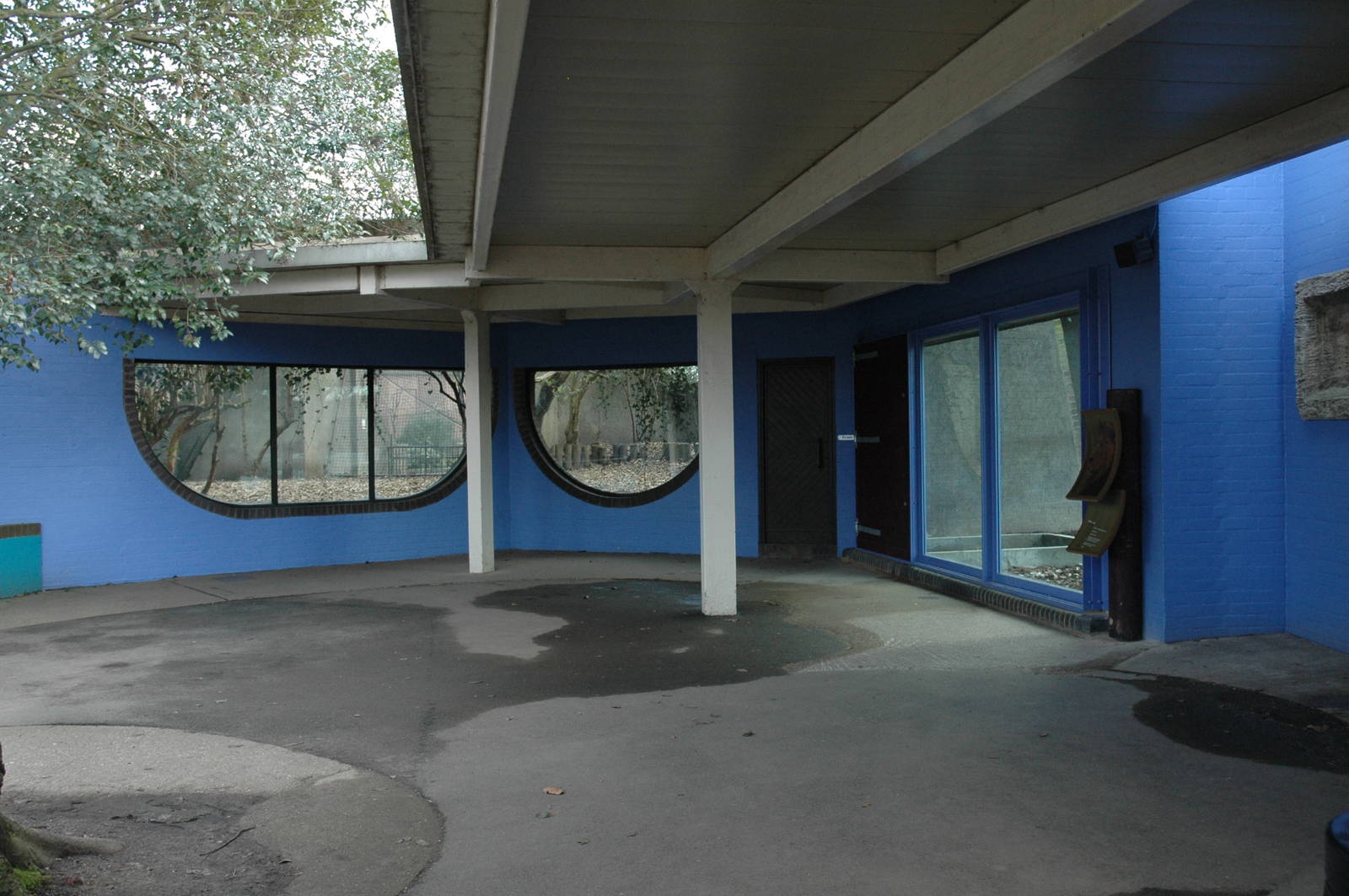 Cat Terrace paint job.