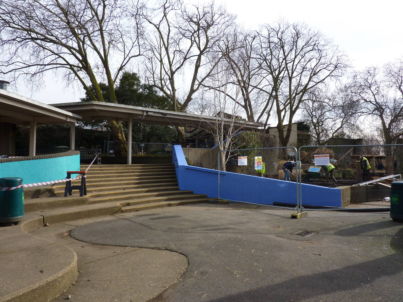 Cat terraces painted