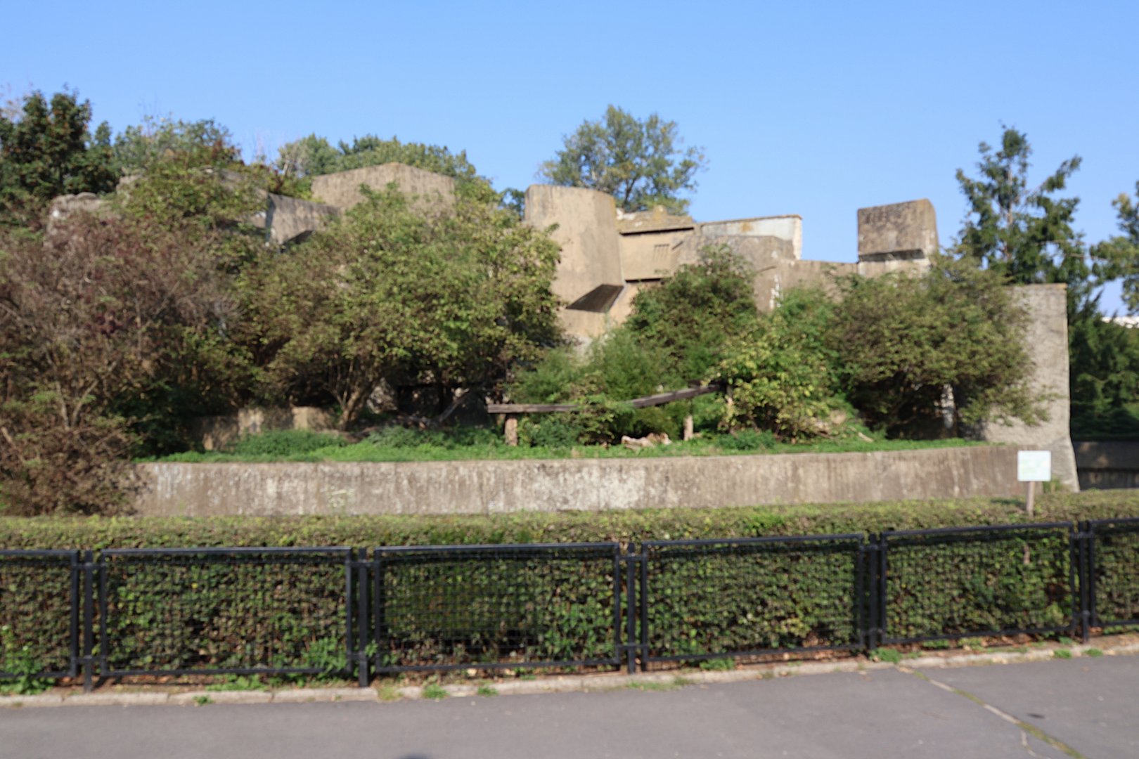 Cat terraces - Siberian Tiger enclosure