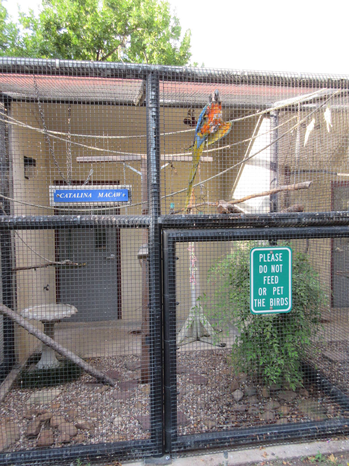 Catalina Macaw Exhibit