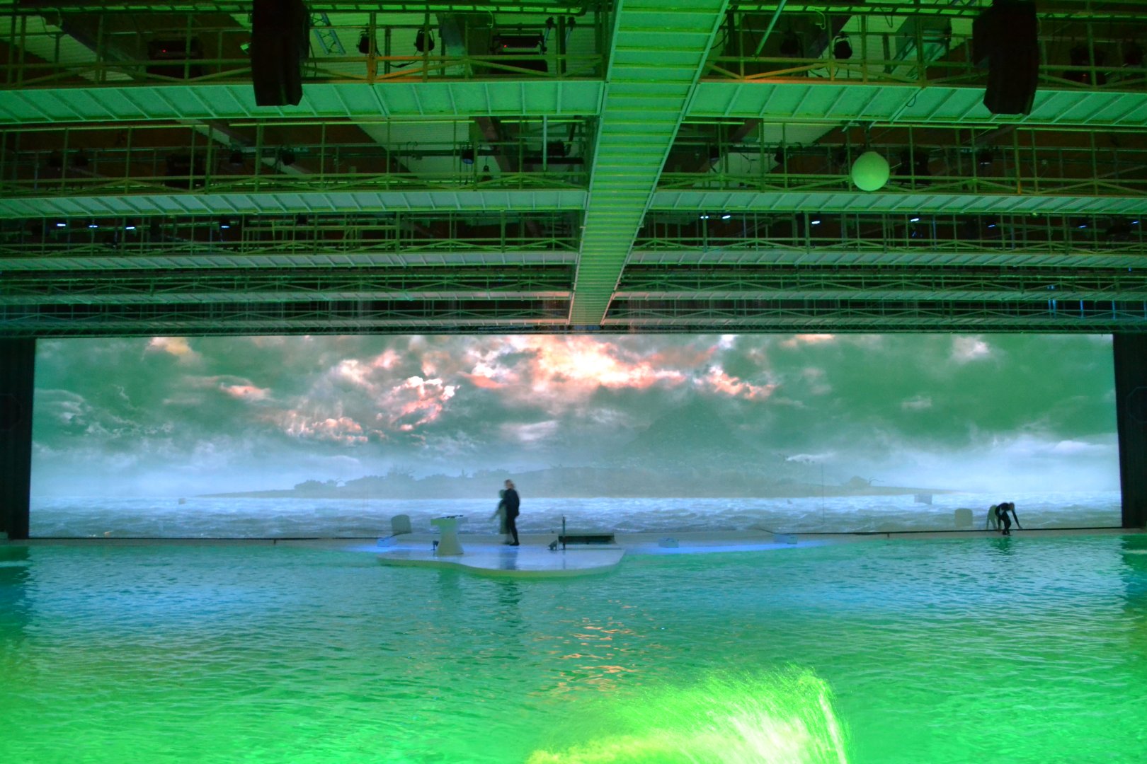 Catastrophe in the dolphin show "Life" in Kolmården