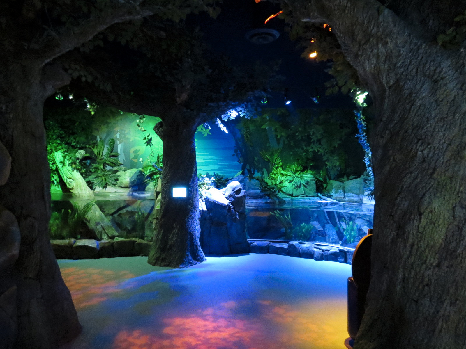 Catawba River Exhibits