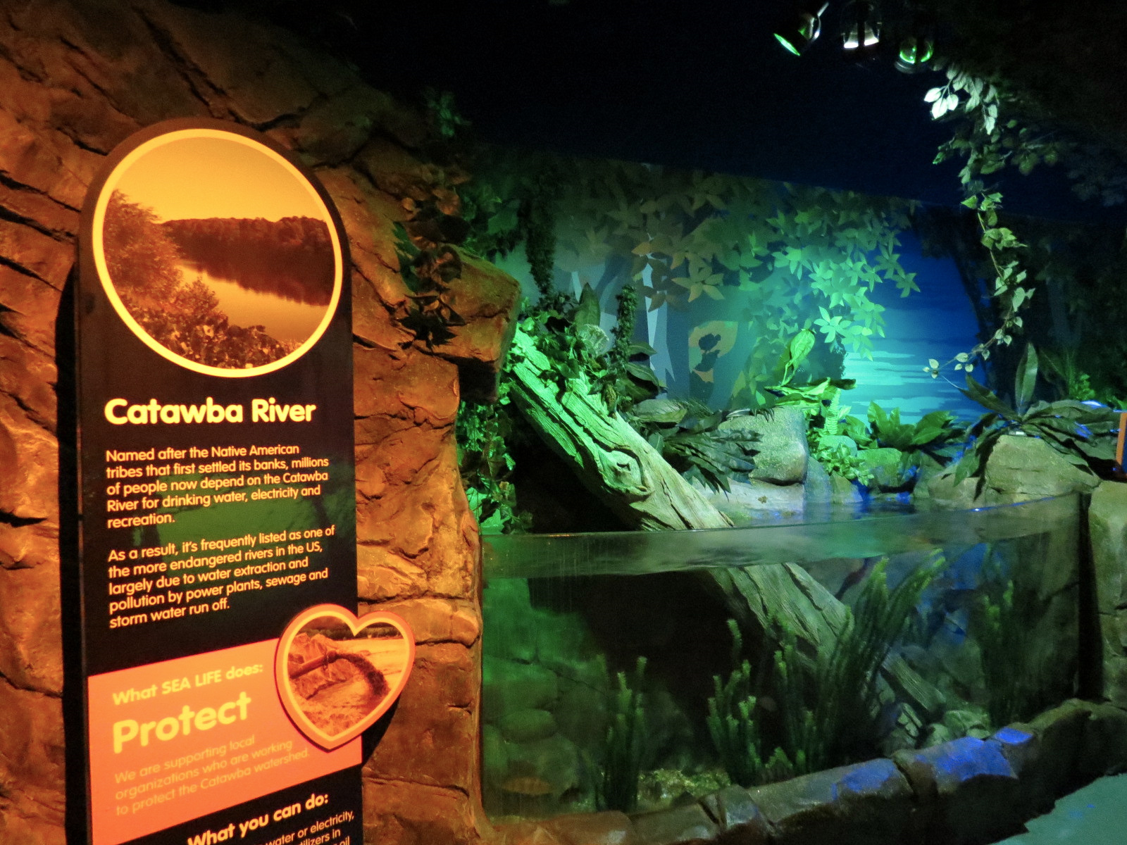 Catawba River Exhibits