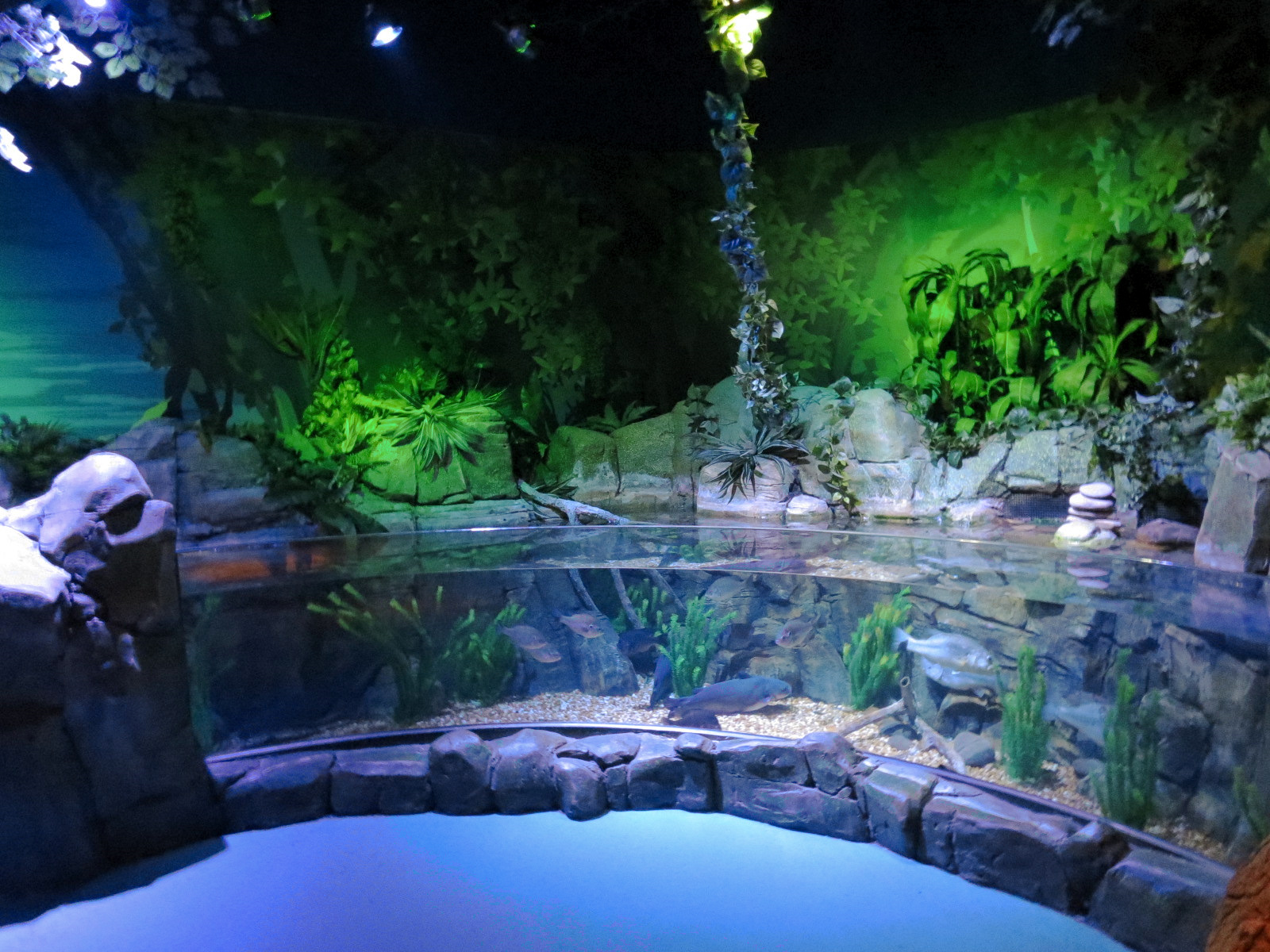 Catawba River Exhibits