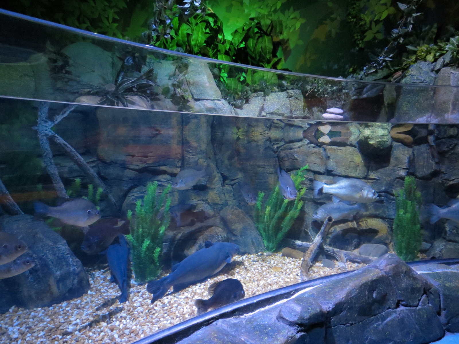 Catawba River Exhibits