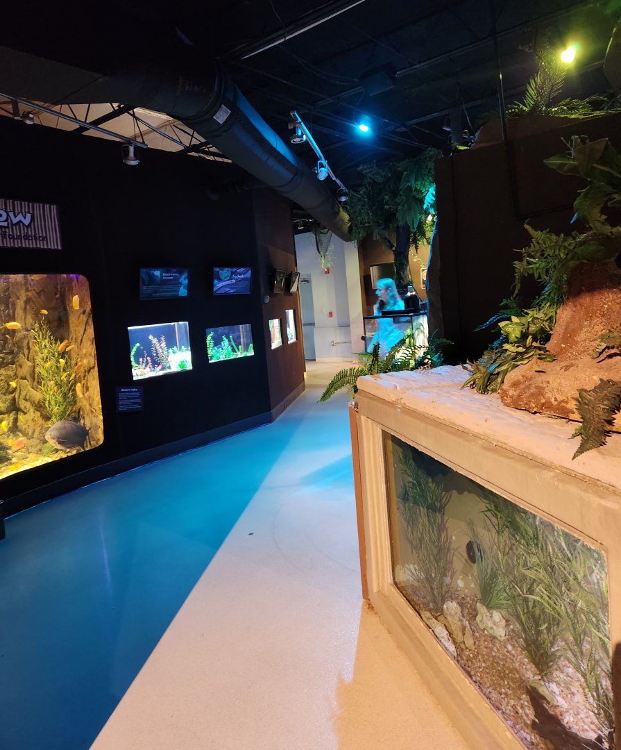 Catawba Science Center - Amazon River area