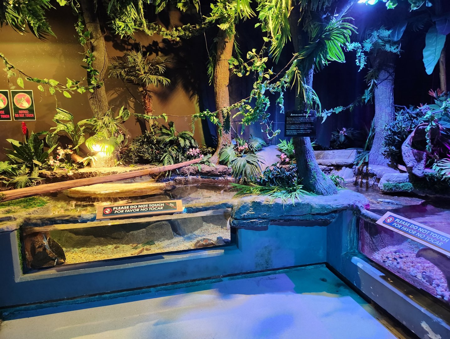 Catawba Science Center - Amazon River stingray/turtle exhibits