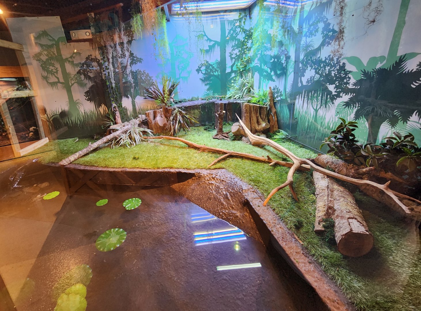 Catawba Science Center - American Alligator enclosure