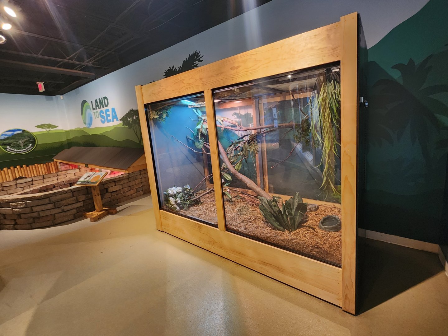 Catawba Science Center - Green Iguana enclosure
