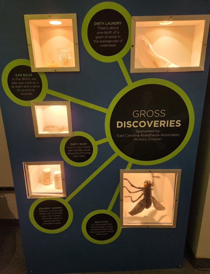 Catawba Science Center - Informative exhibit on gross science