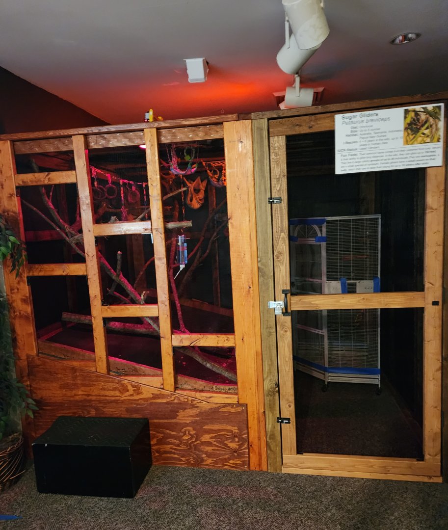 Catawba Science Center - Sugar Glider nocturnal enclosure