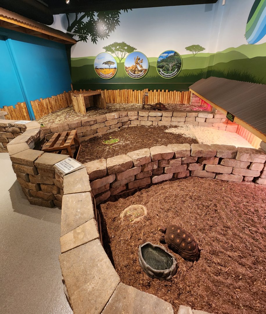 Catawba Science Center - Tortoise enclosures