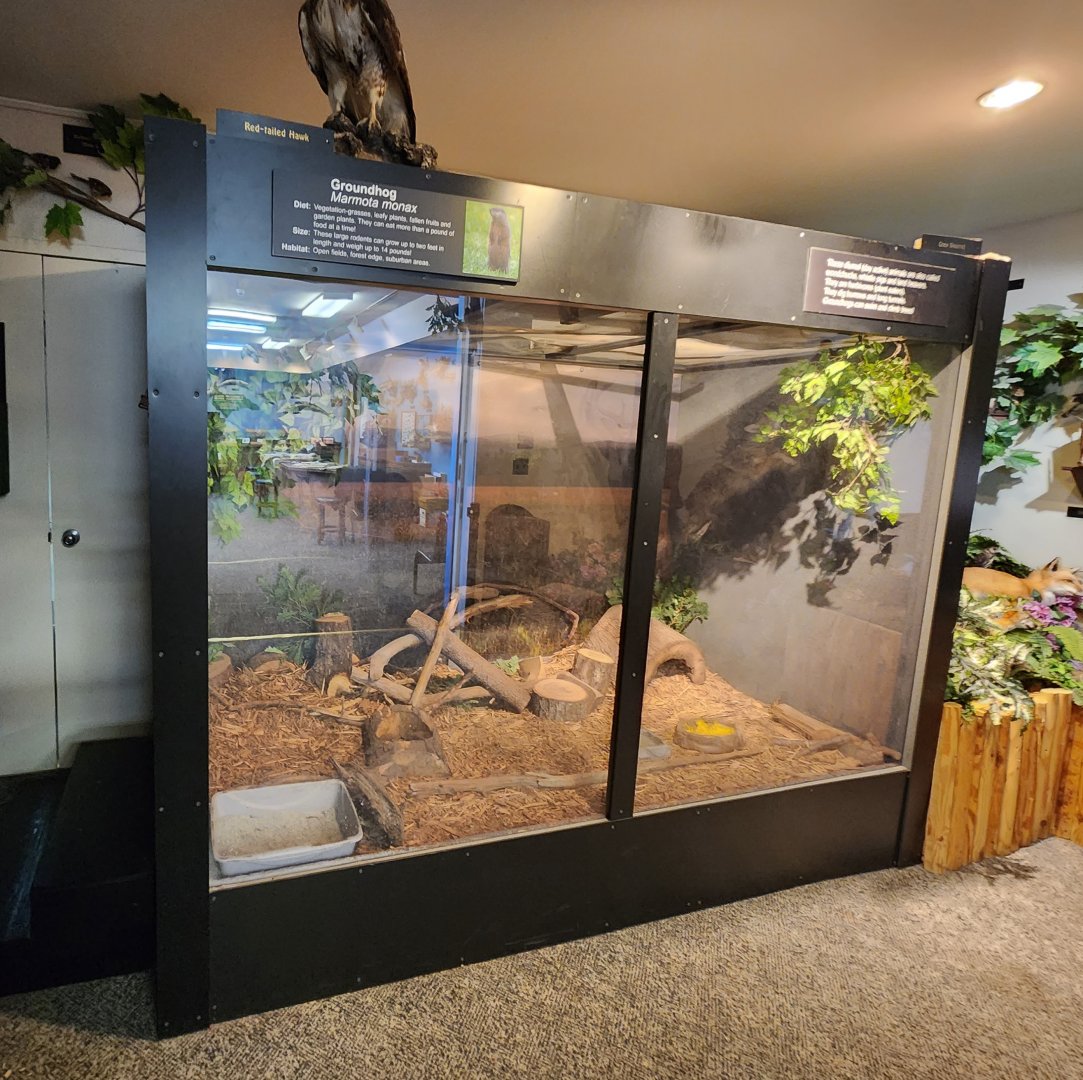 Catawba Science Center - Woodchuck enclosure