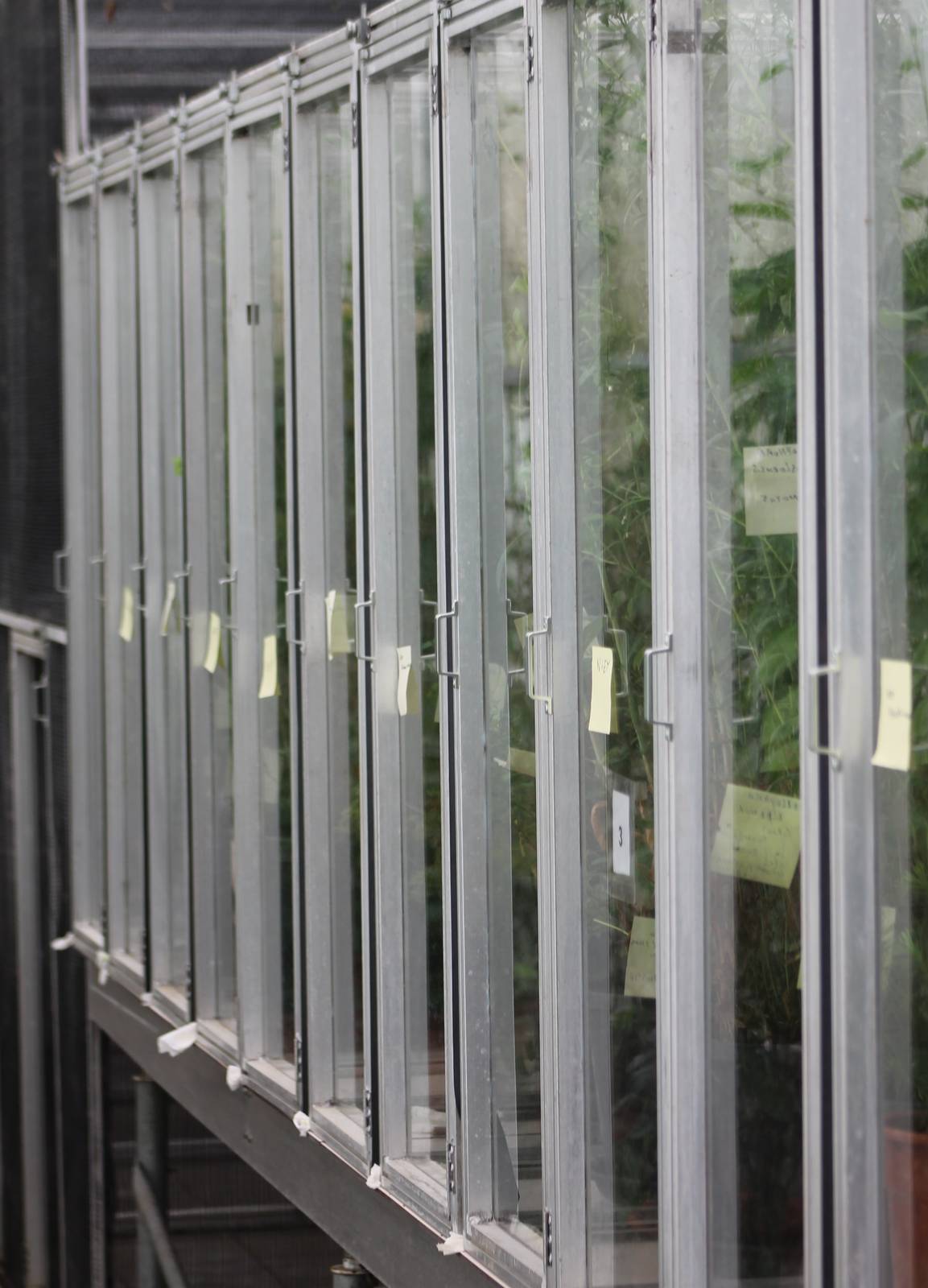 Caterpillar raising enclosures