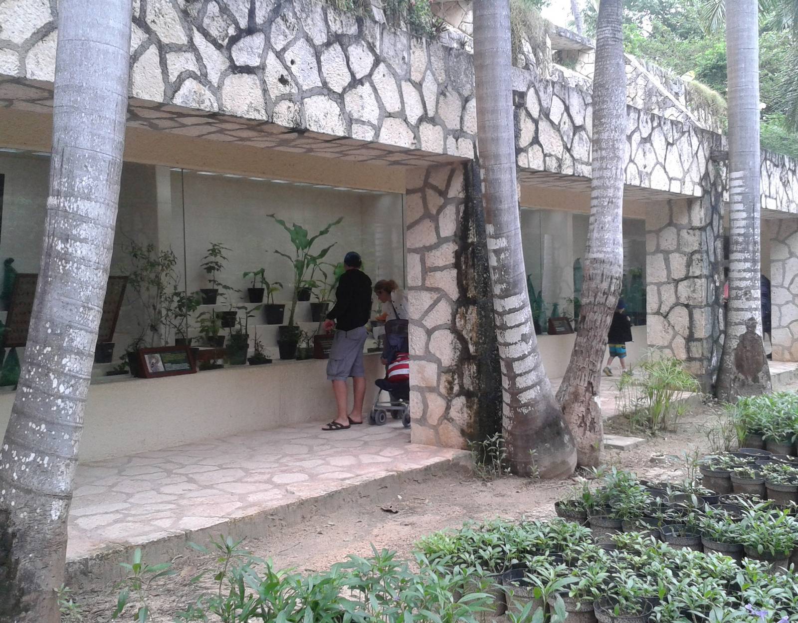 Caterpillar raising room