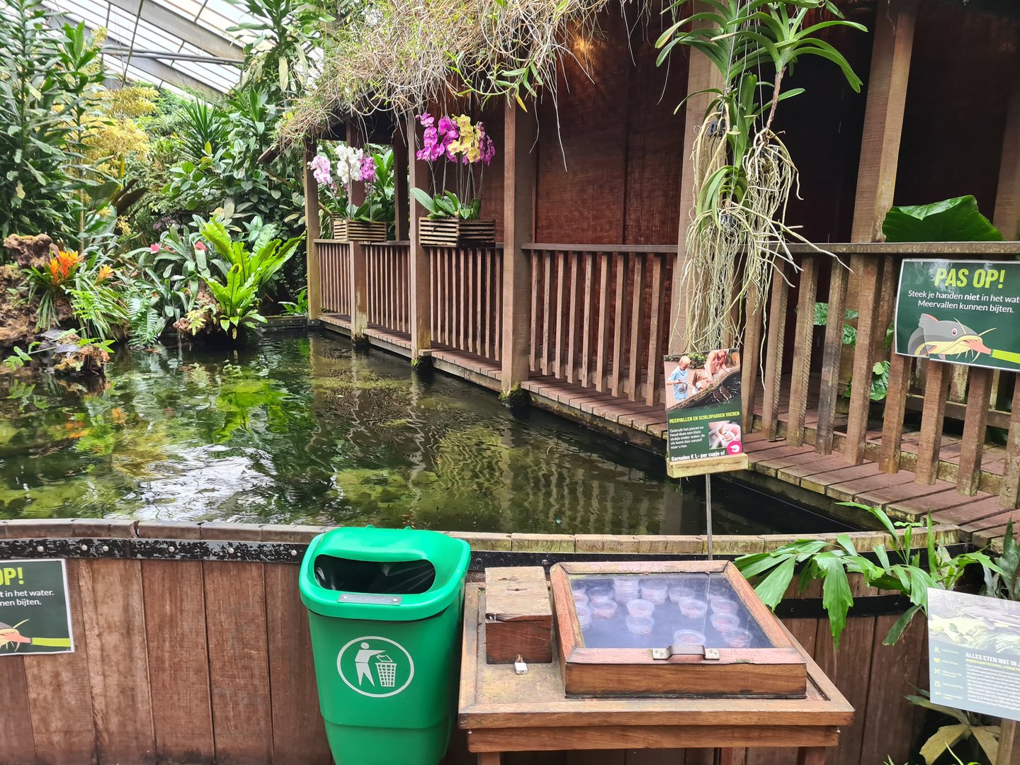 Catfish feeding table in "Amazon" hall