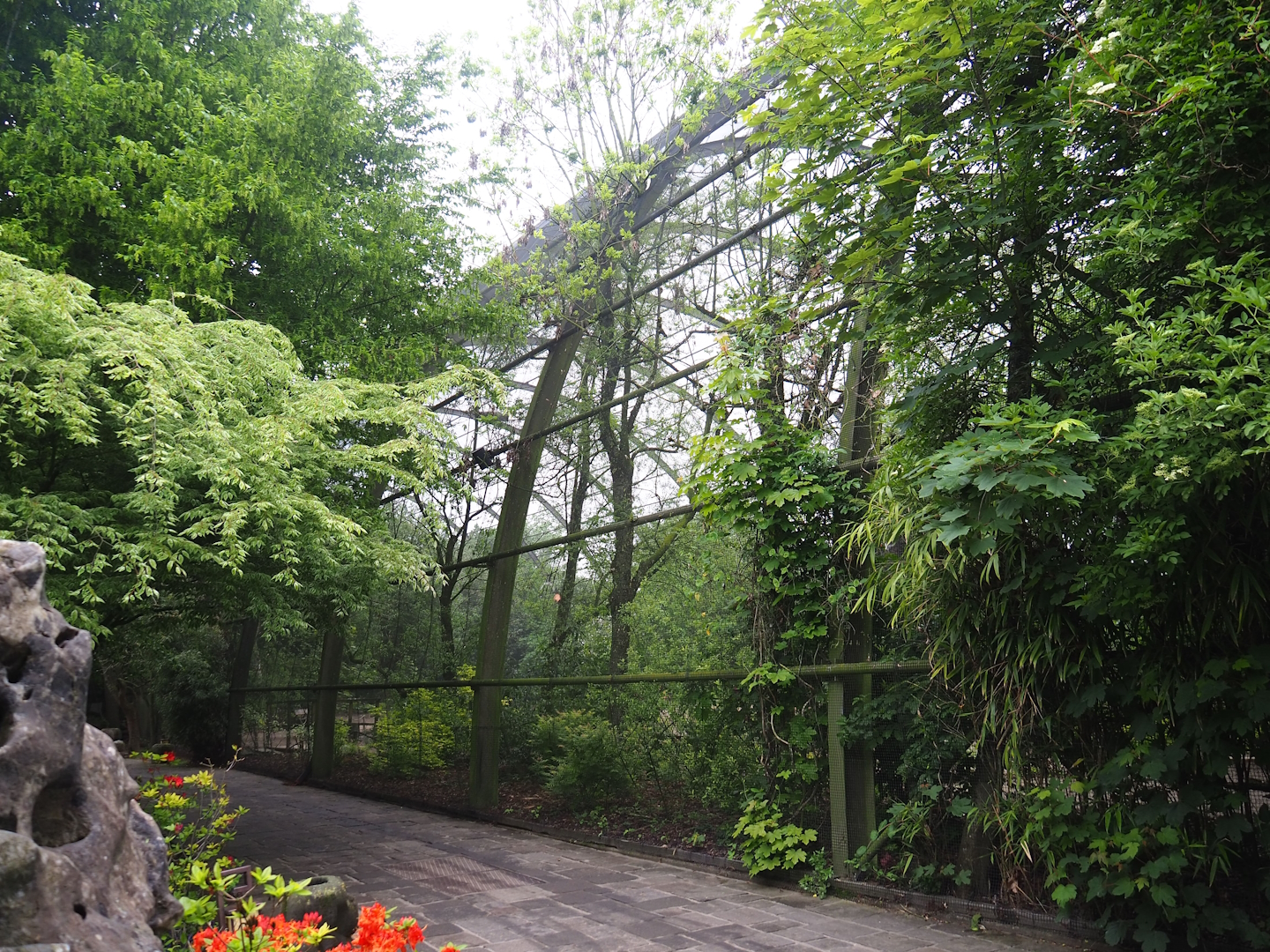 Cathedral aviary/Large walk-through aviary exterior, 2023-05-15