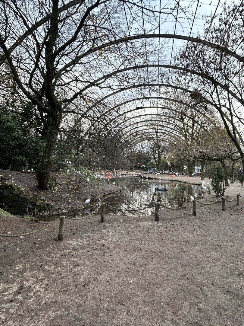 Cathedral (giant aviary)