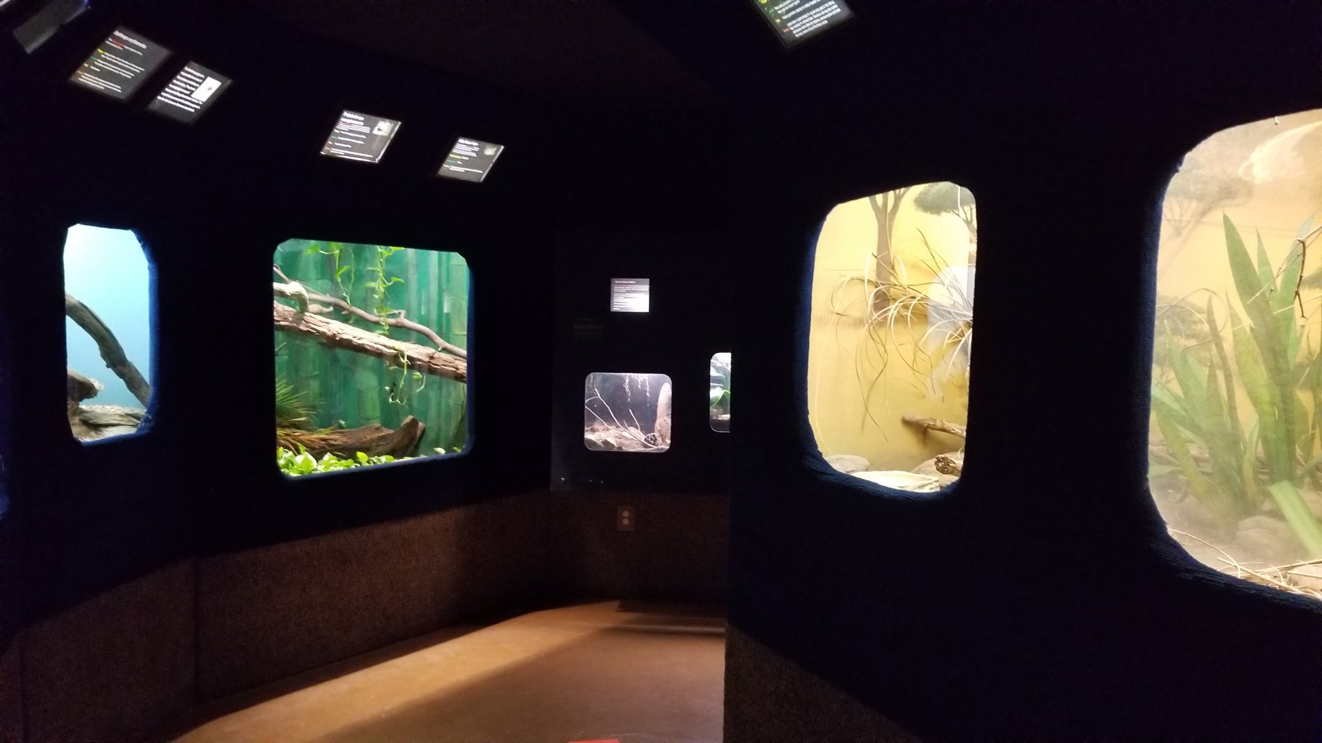 Catoctin Wildlife Preserve - Africa's Deadliest Snakes building