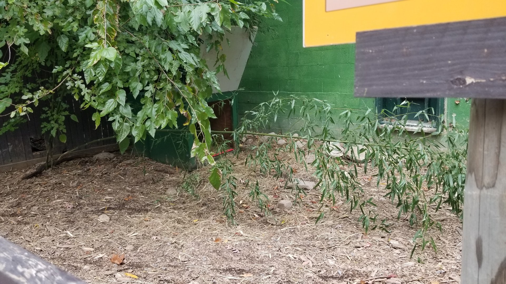 Catoctin Wildlife Preserve - Aldabra tortoise house