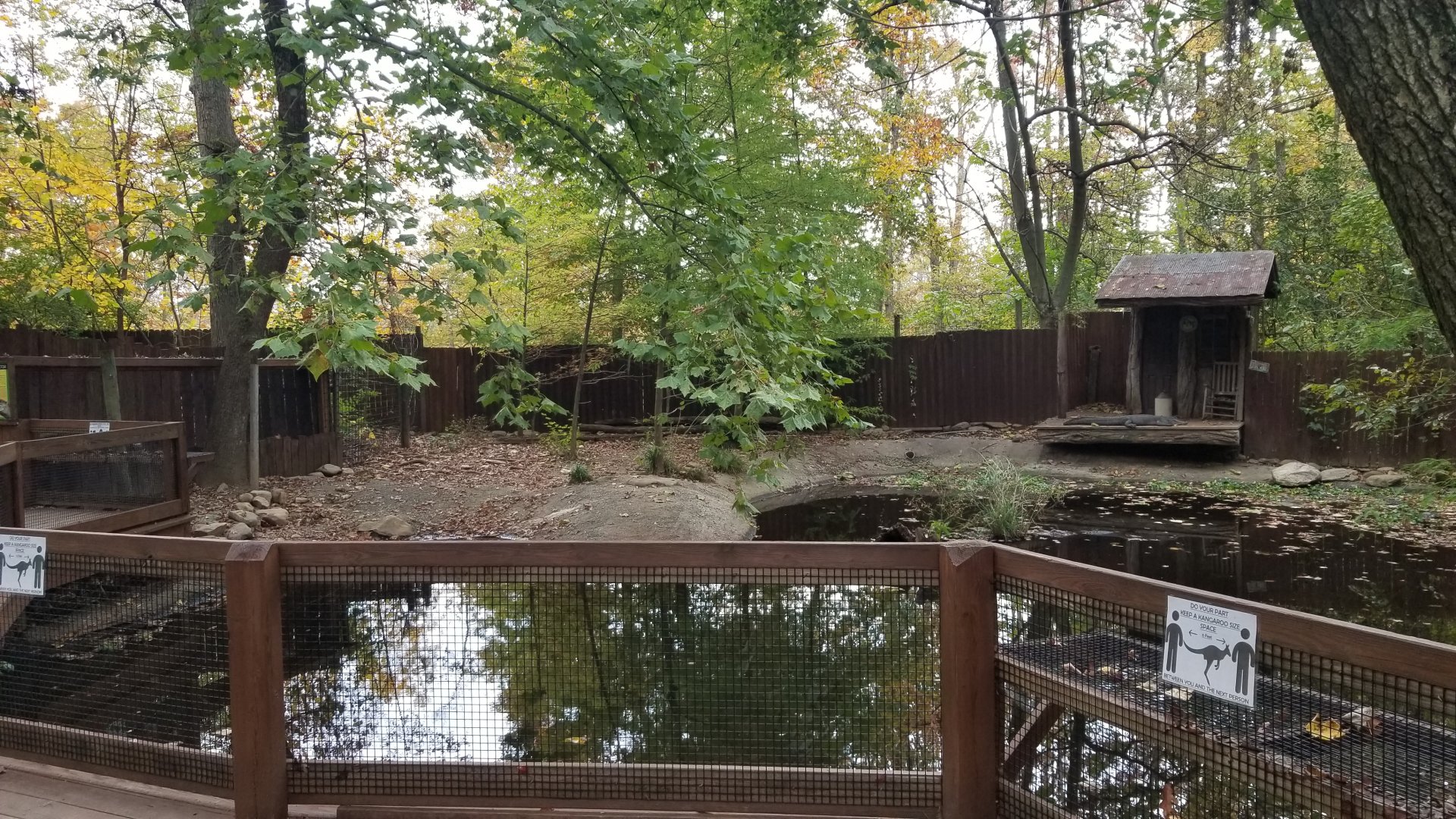 Catoctin Wildlife Preserve - American Alligators