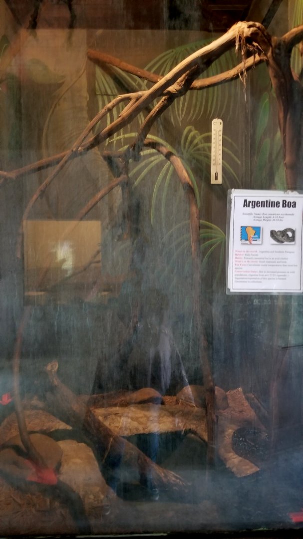 Catoctin Wildlife Preserve - Argentine Boa