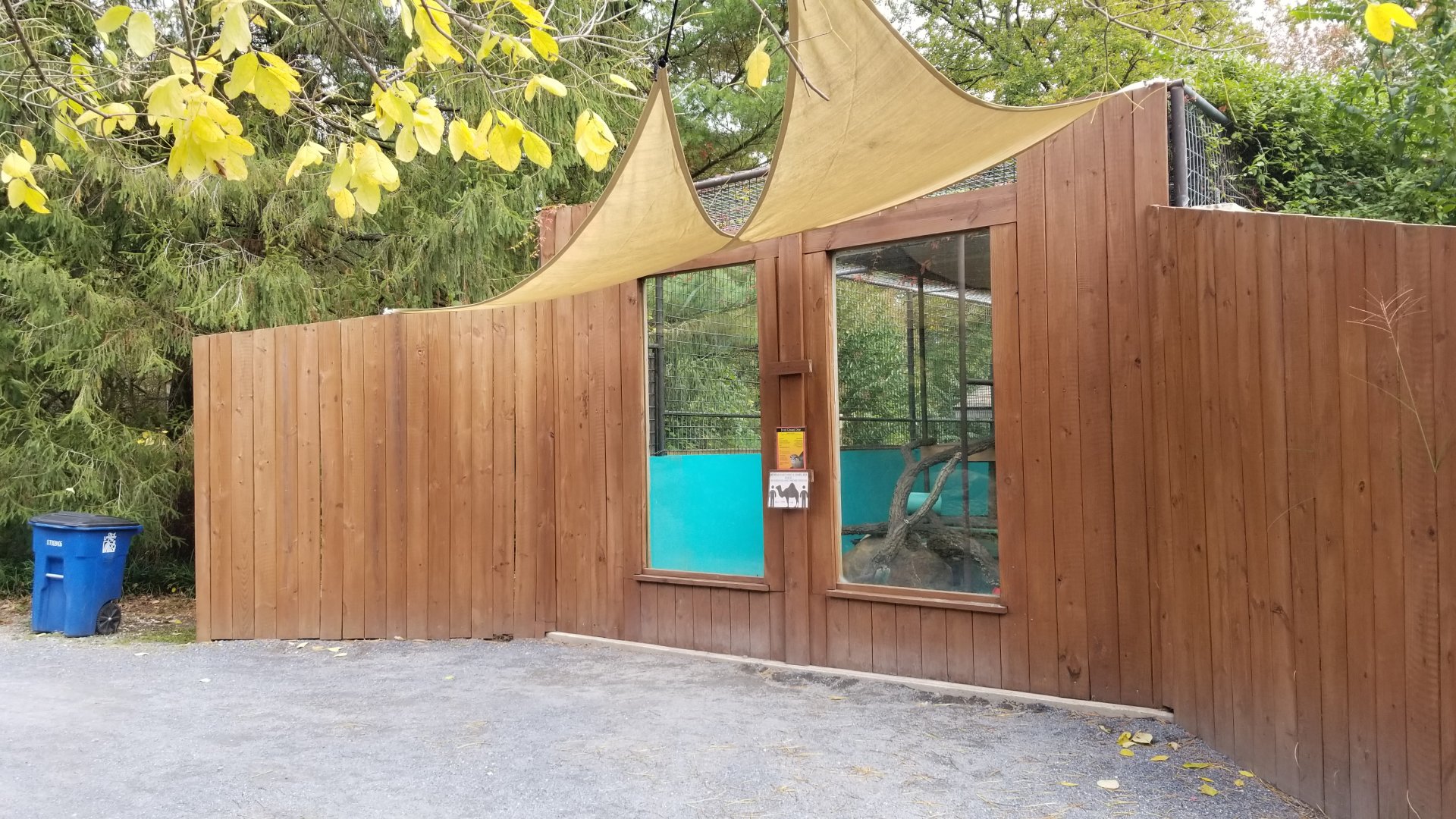 Catoctin Wildlife Preserve - Asian Small-clawed Otters