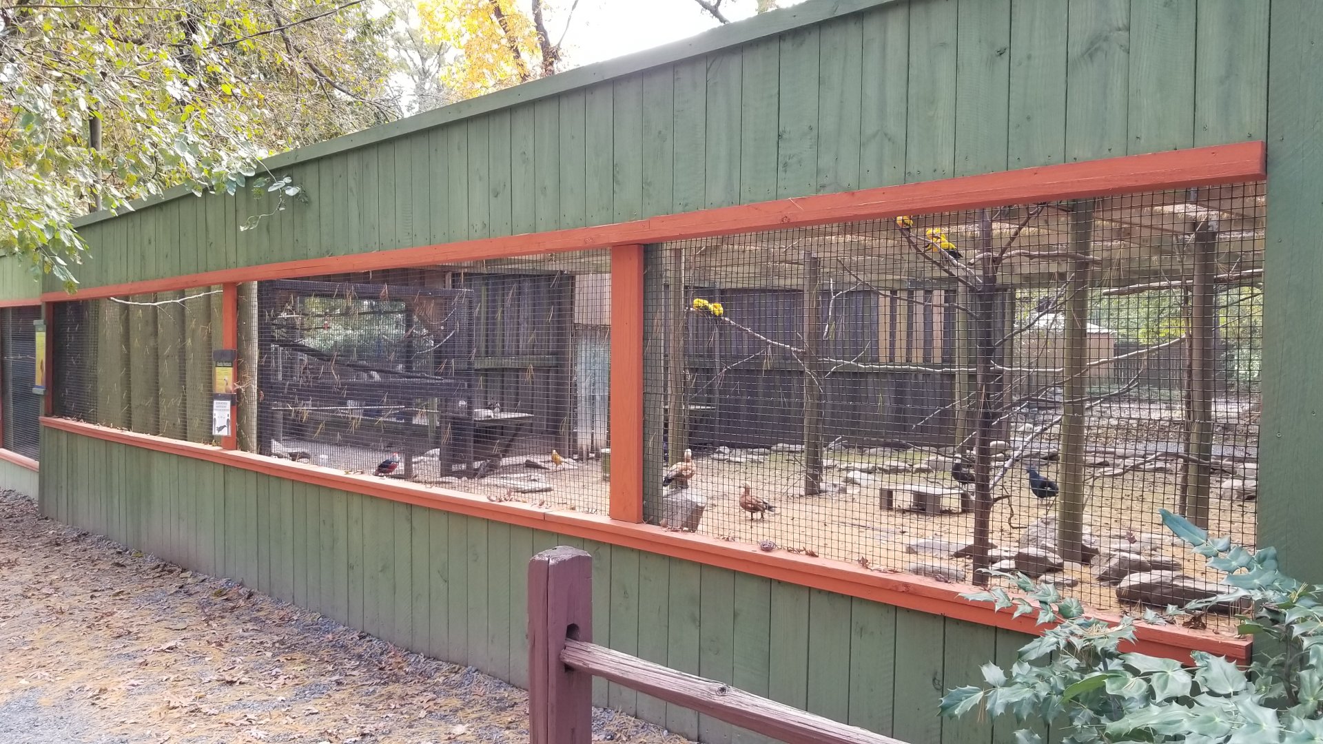 Catoctin Wildlife Preserve - Australia Aviary, sort of