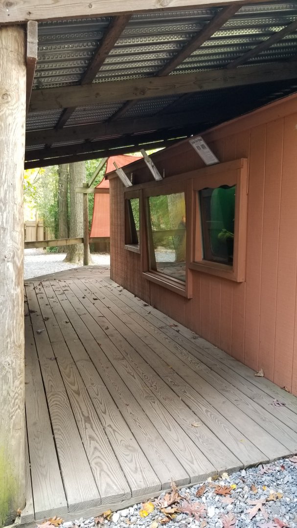 Catoctin Wildlife Preserve - "Australia Reptiles" area