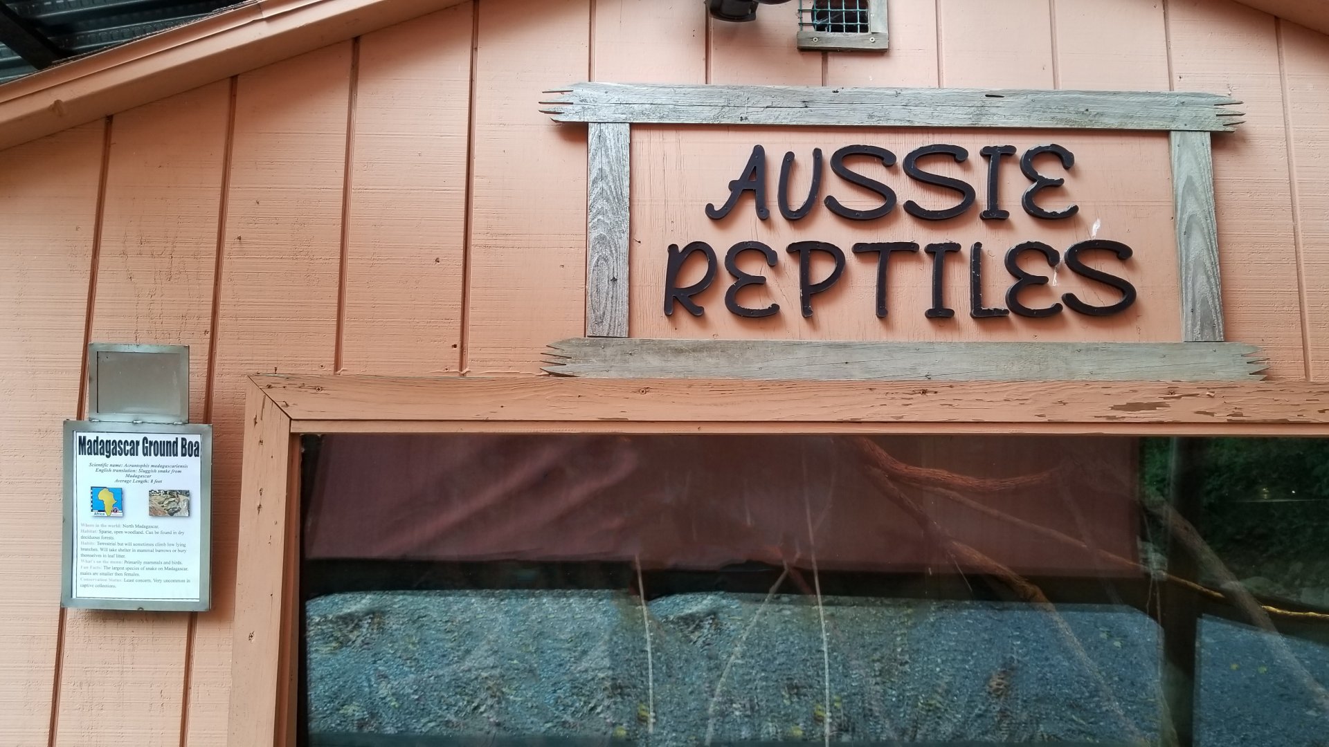 Catoctin Wildlife Preserve - "Australia Reptiles" - Madagascar Ground Boa