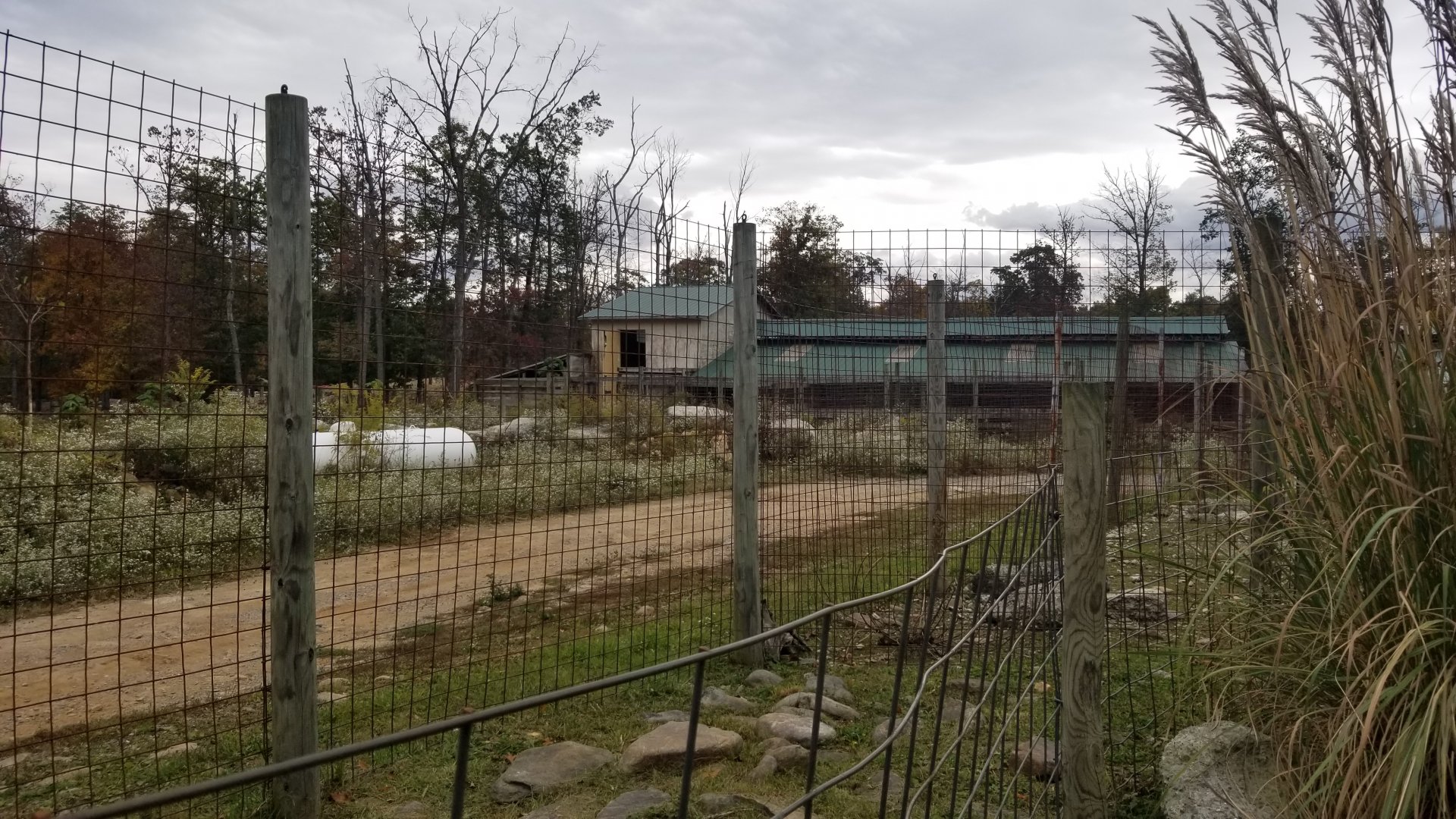 Catoctin Wildlife Preserve - Barn for safari hoofstock
