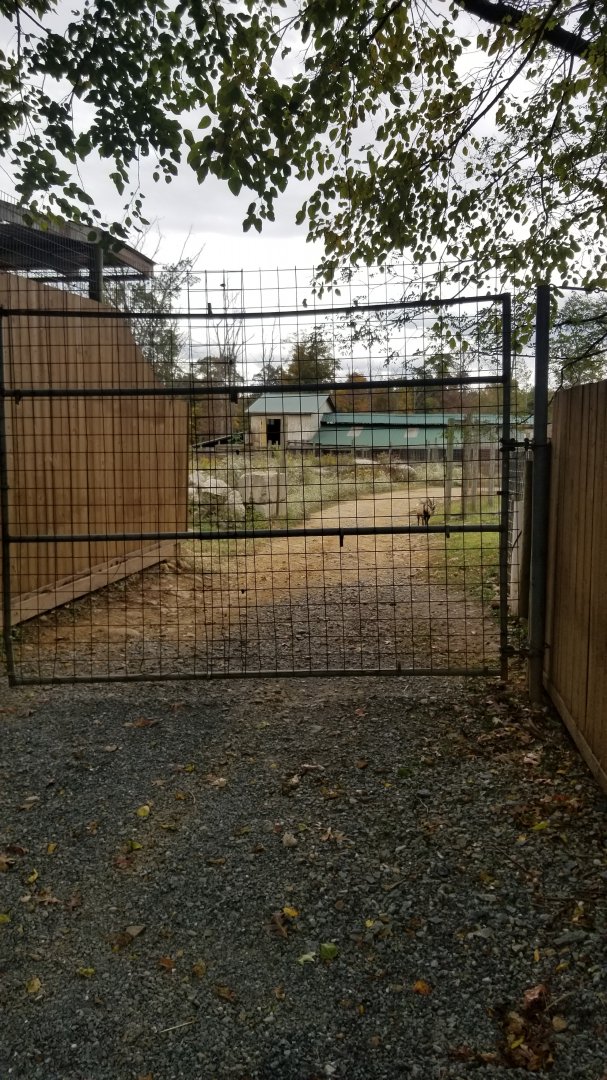 Catoctin Wildlife Preserve - Barn in distance