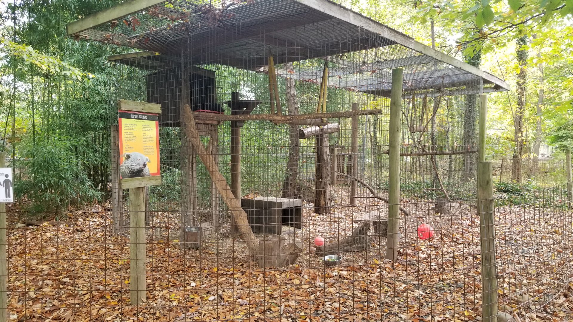 Catoctin Wildlife Preserve - Binturong