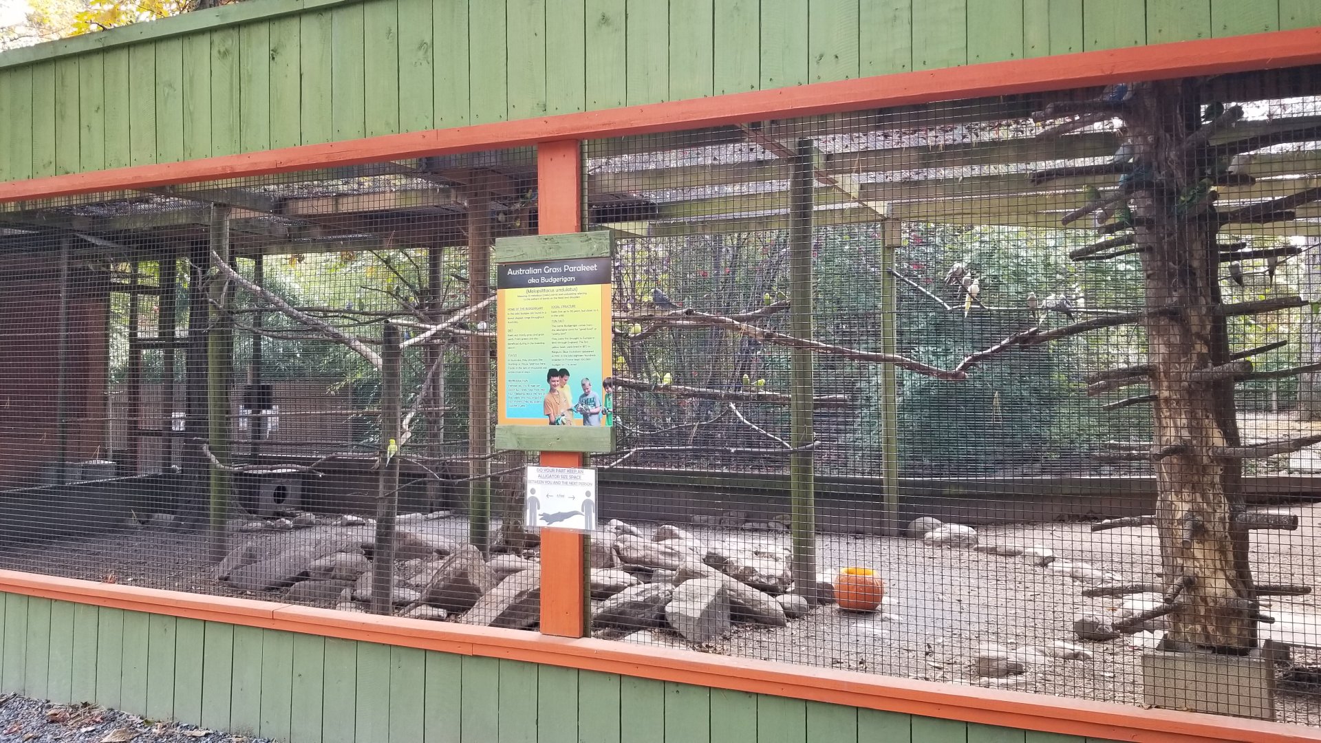 Catoctin Wildlife Preserve - Budgie aviary