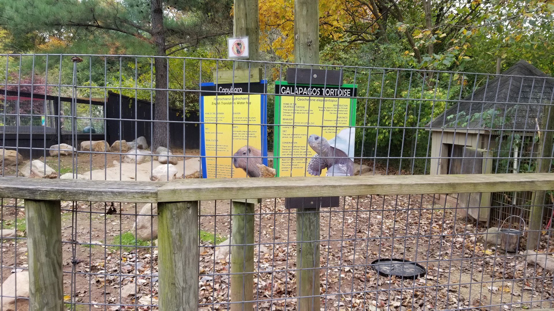 Catoctin Wildlife Preserve - Capybara, Galapagos Tortoise area