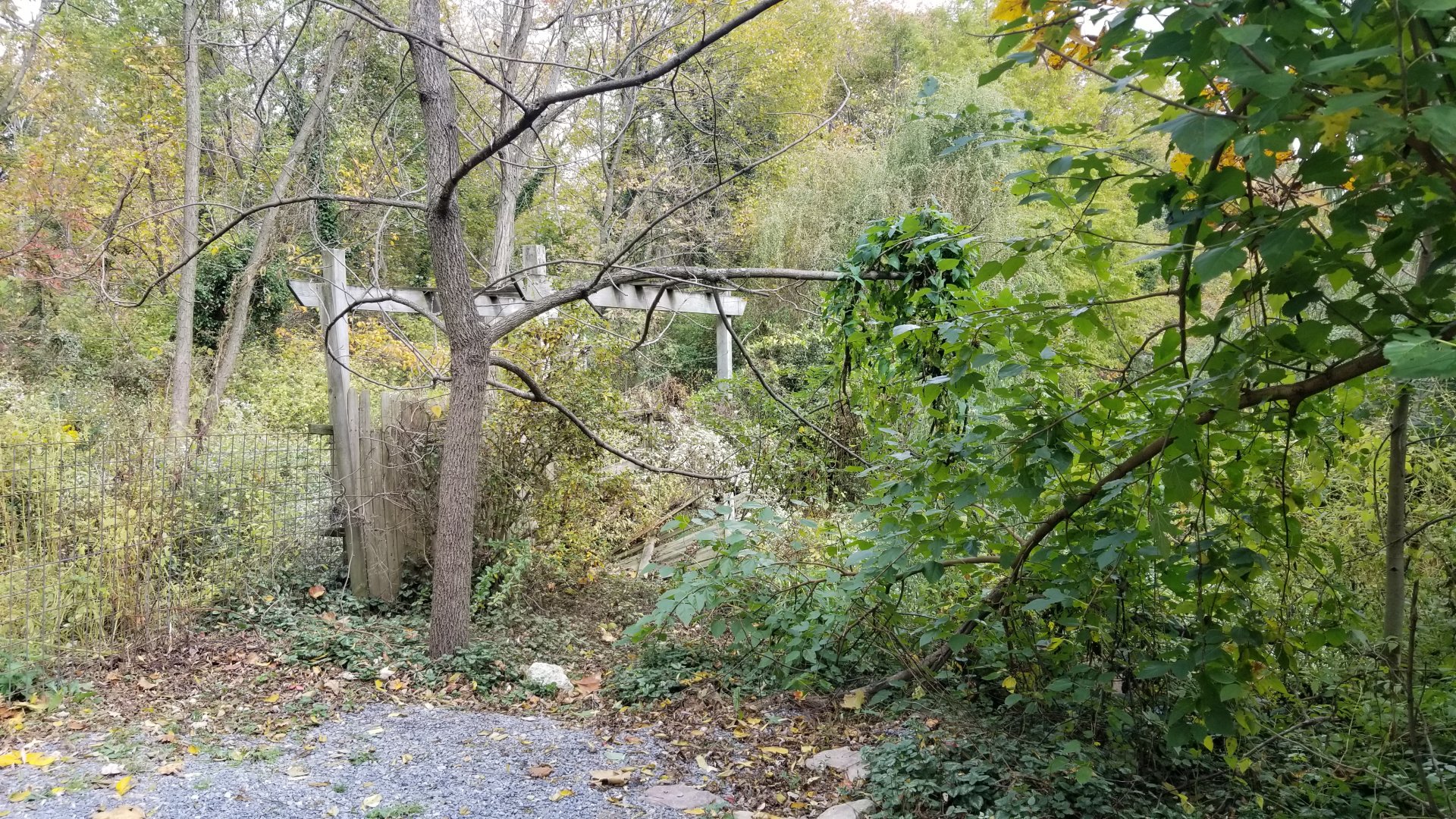 Catoctin Wildlife Preserve - Dead-end area next to leopard, former exhibit area?