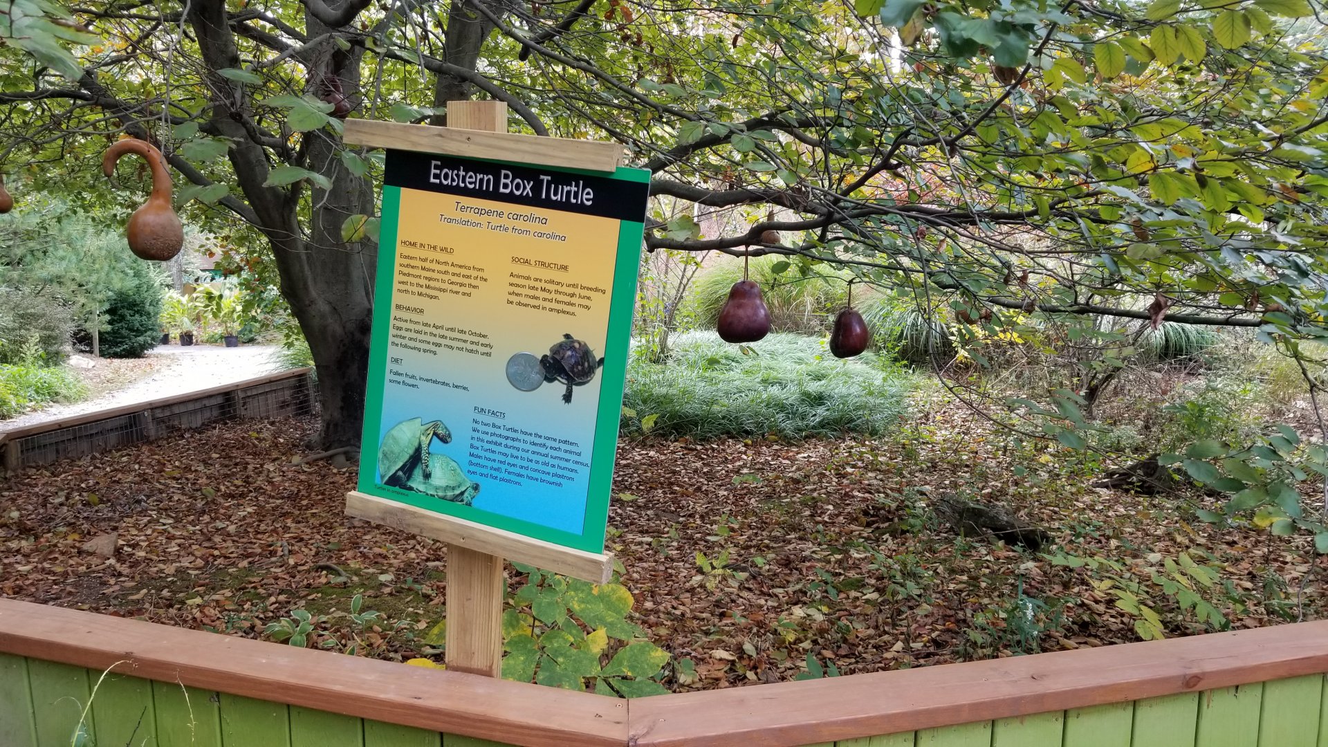 Catoctin Wildlife Preserve - Eastern Box Turtle area