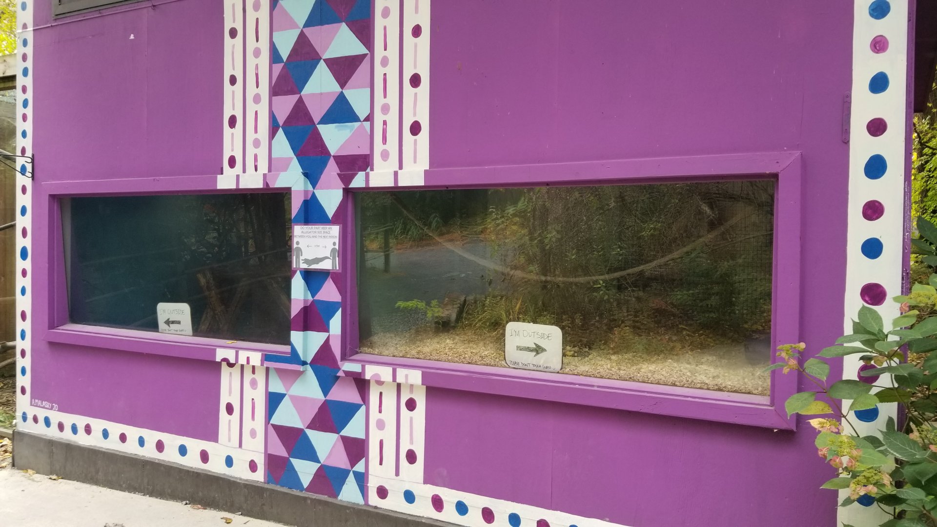 Catoctin Wildlife Preserve - Indoor viewing of fossas