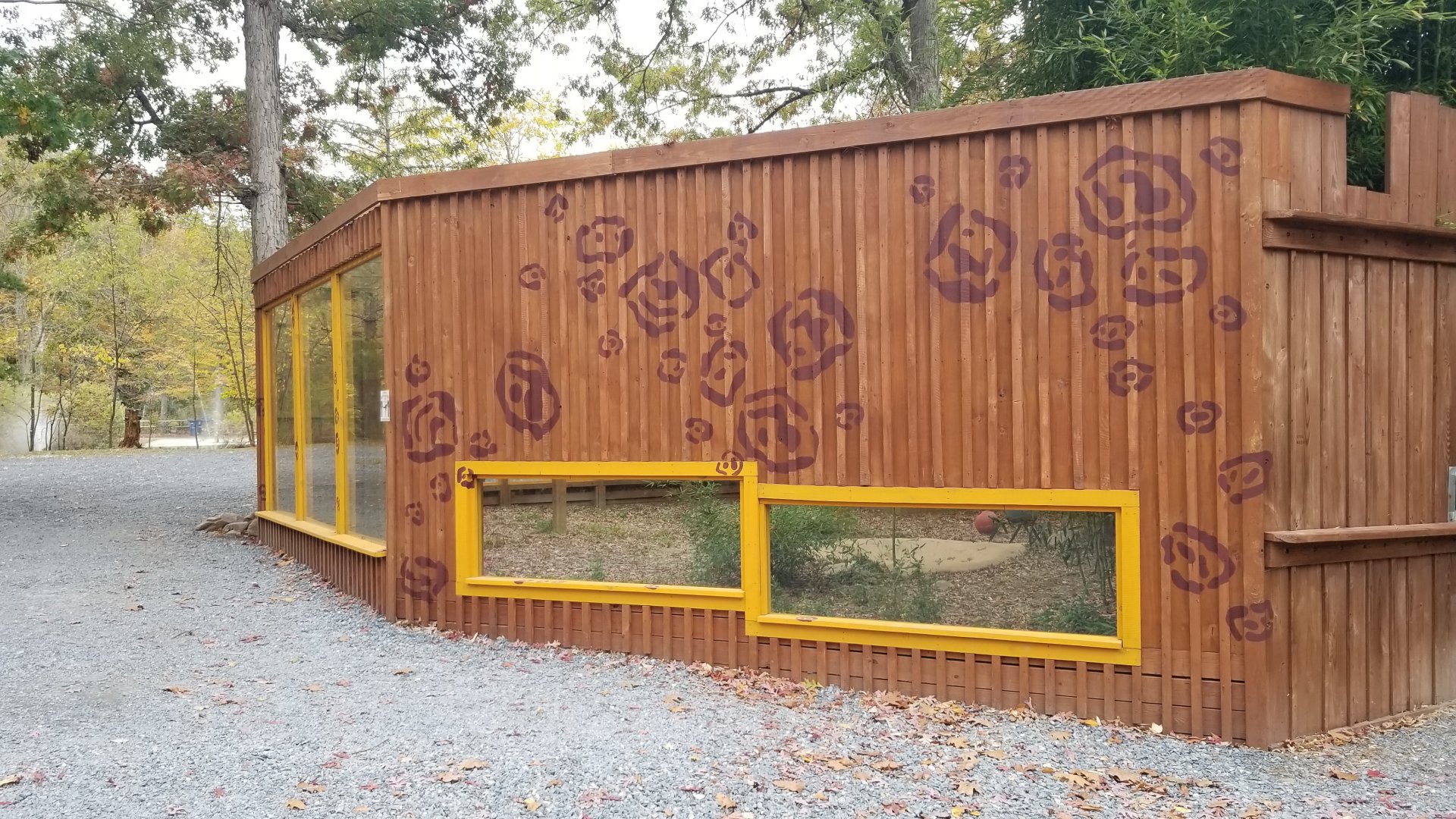 Catoctin Wildlife Preserve - Jaguar from right side