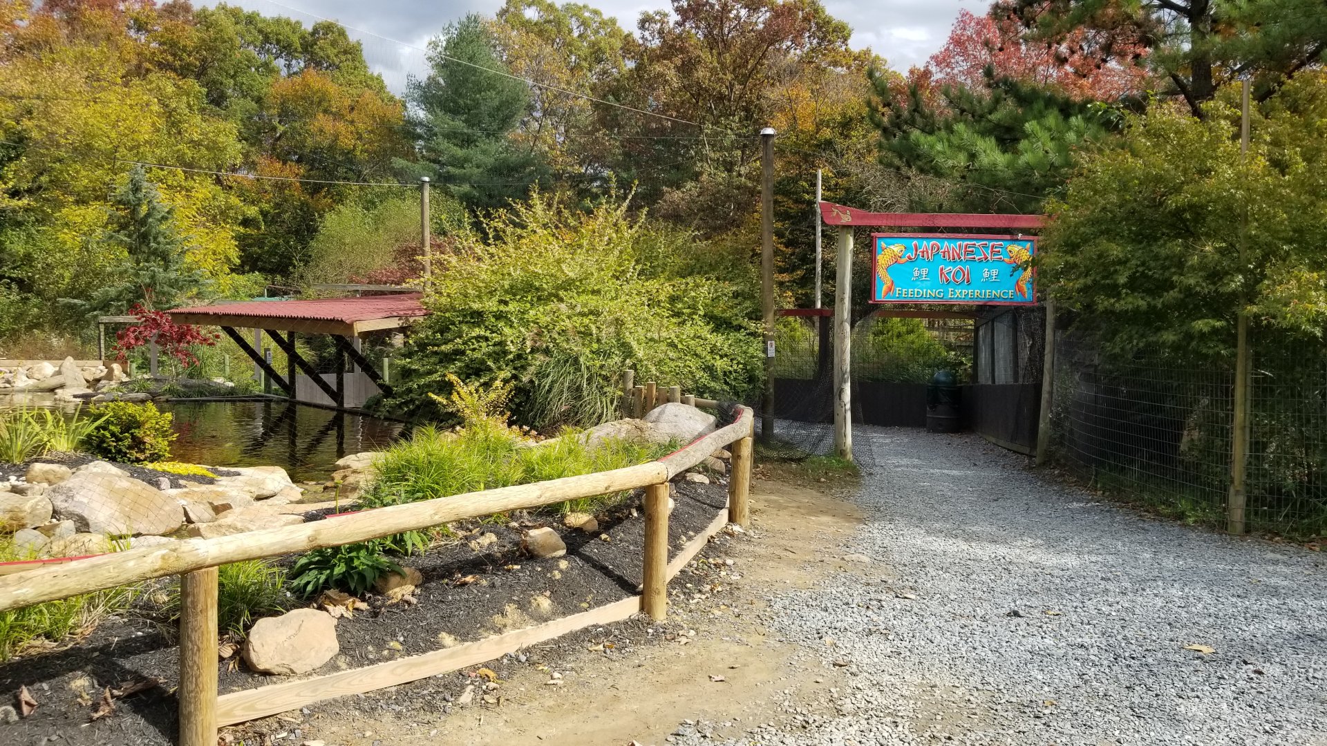 Catoctin Wildlife Preserve - Koi feeding area