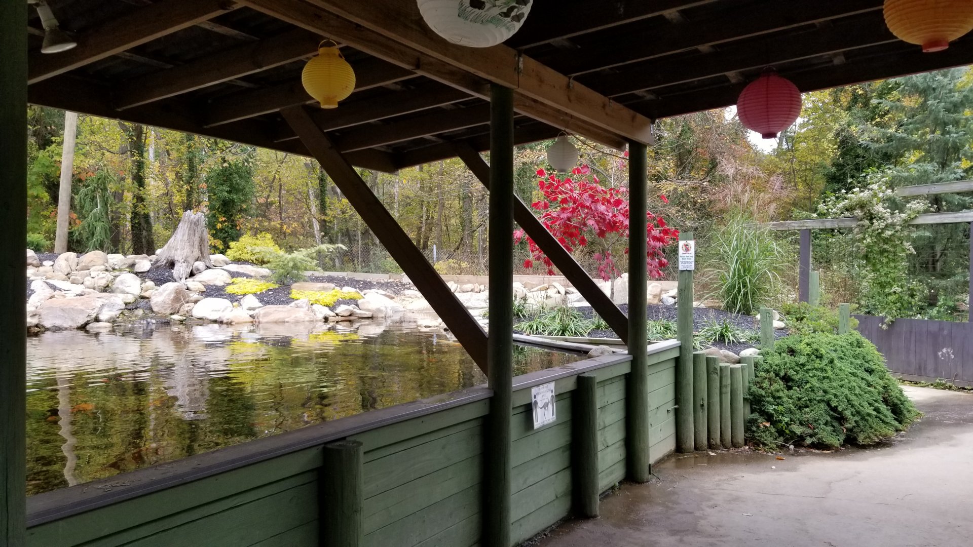 Catoctin Wildlife Preserve - Koi feeding area