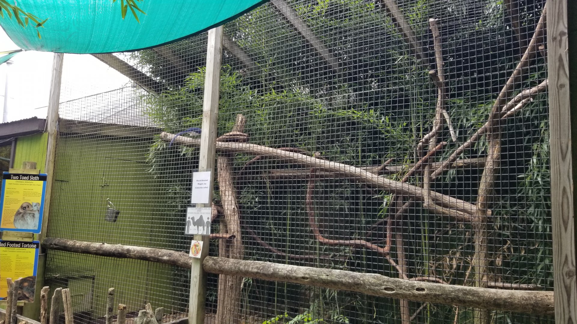 Catoctin Wildlife Preserve - Linnaeus's Sloth, Red-footed Tortoise, Black-throated Magpie Jay