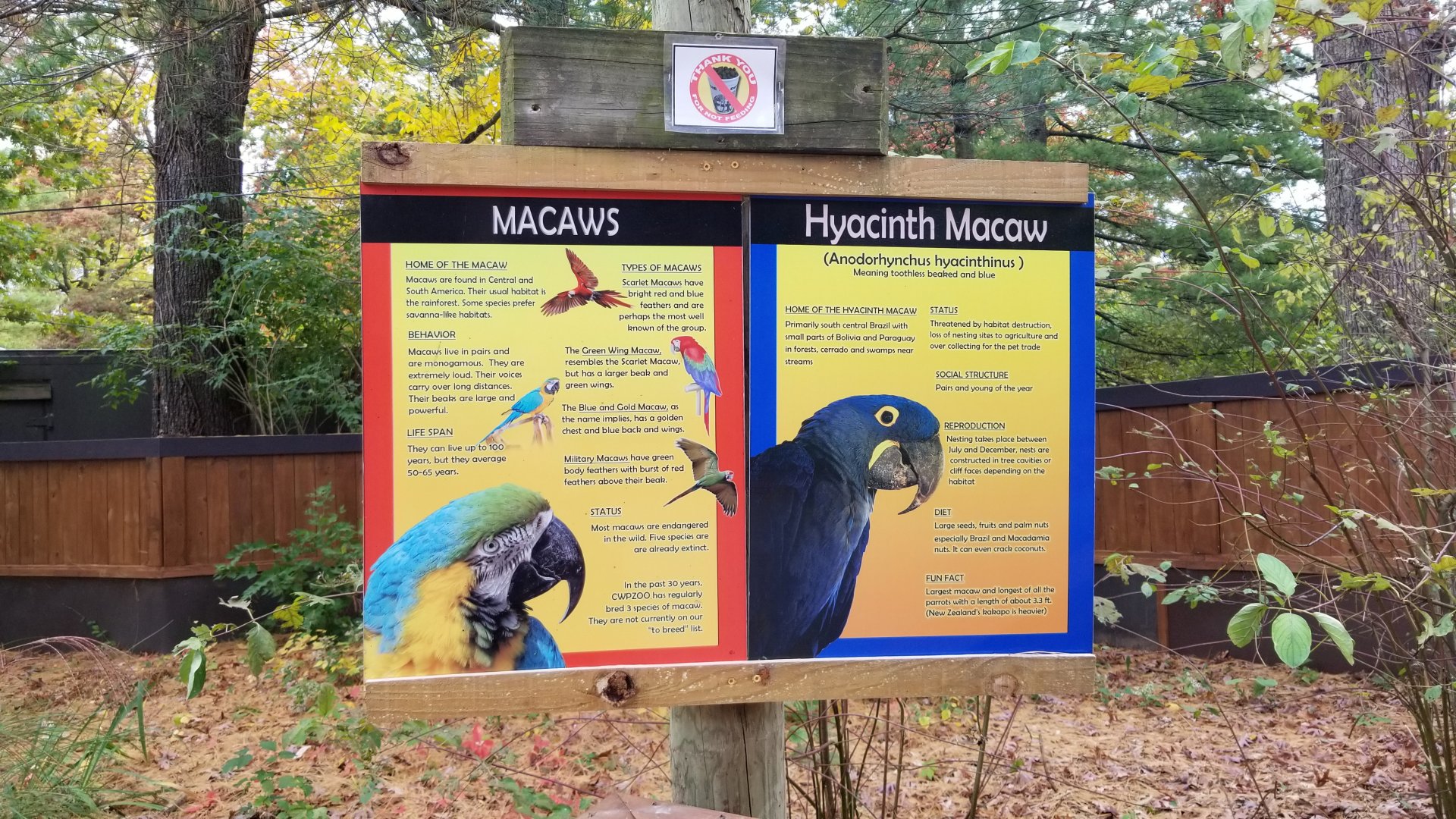 Catoctin Wildlife Preserve - Macaw sign