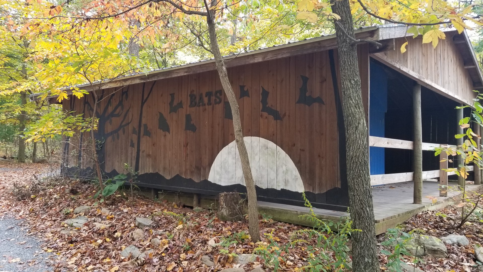 Catoctin Wildlife Preserve - "Neotropical Bat" Building