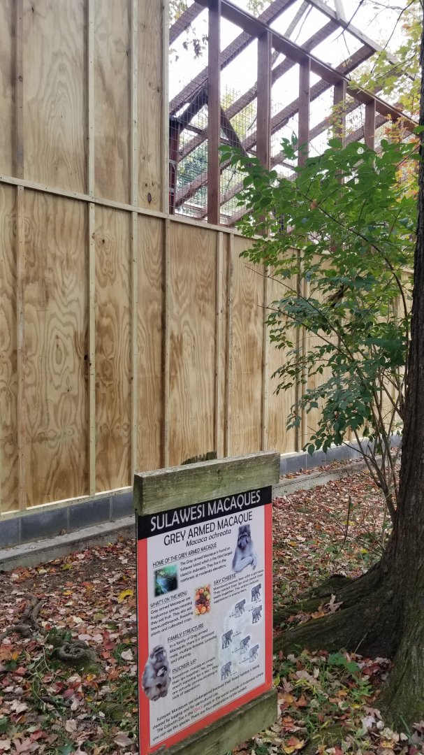 Catoctin Wildlife Preserve - new booted macaque exhibit?