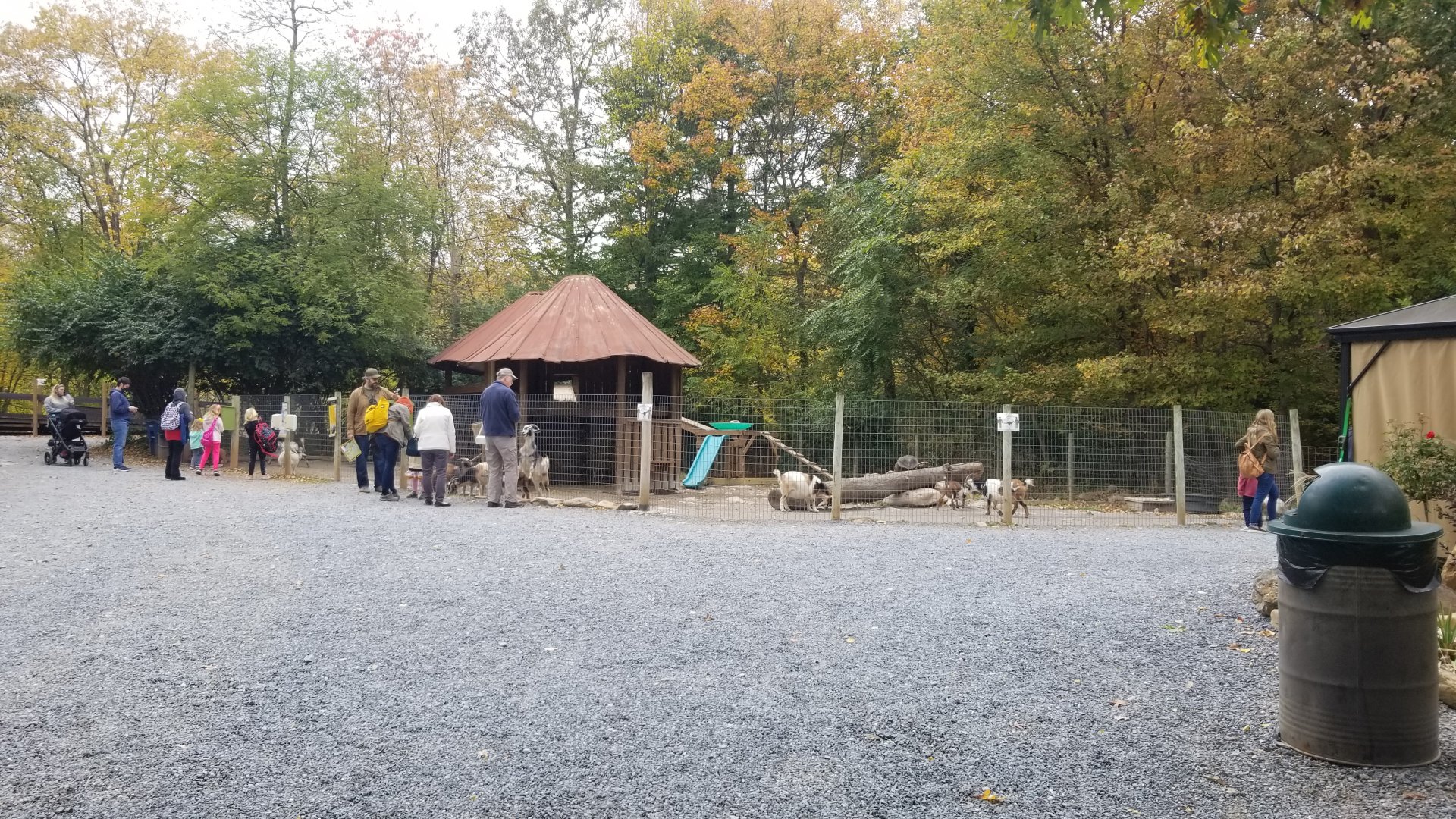 Catoctin Wildlife Preserve - Petting area #3, goats