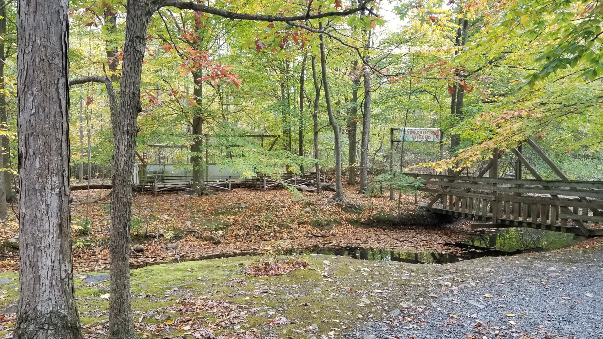 Catoctin Wildlife Preserve - Rainforest Island, not accessable