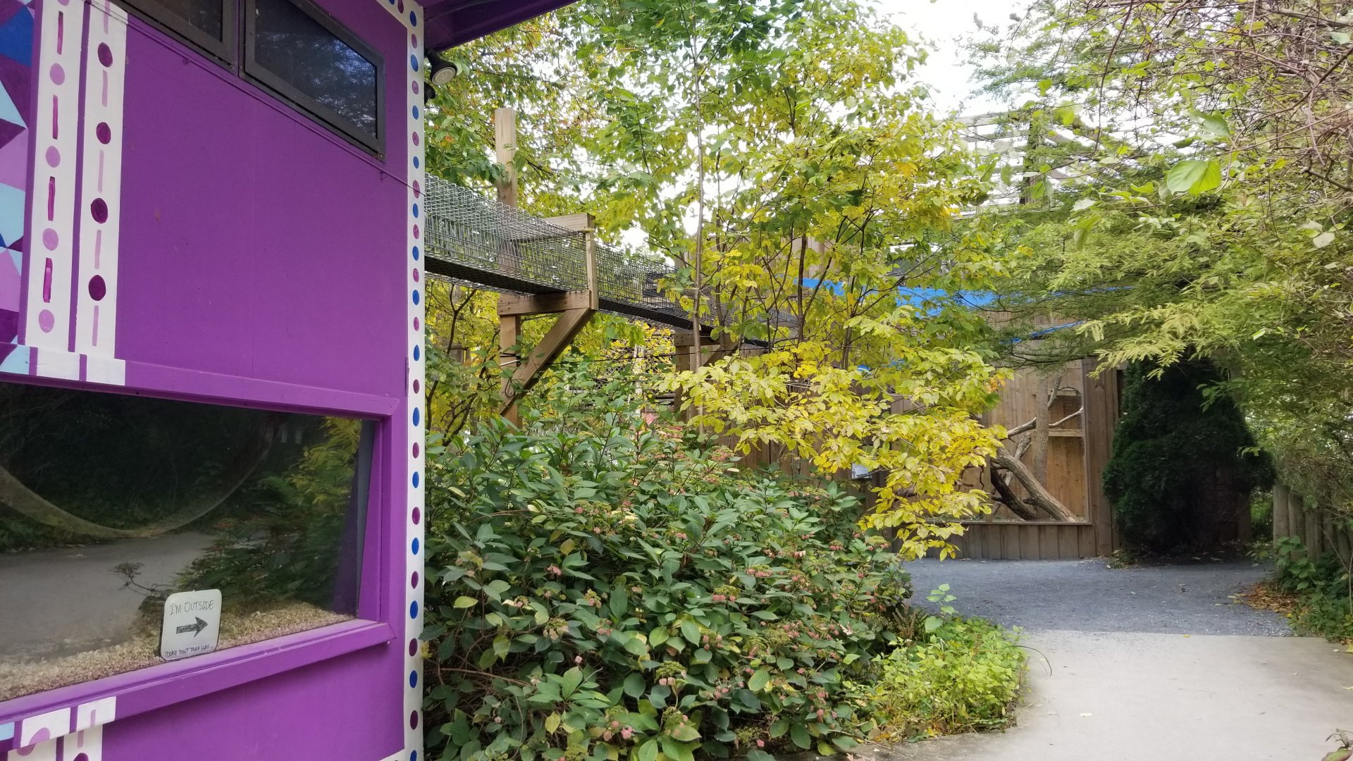 Catoctin Wildlife Preserve - Ramp for adult fossa to go from indoors to out